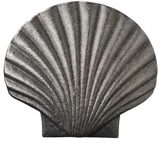 bare metal cast iron shell viewed from above